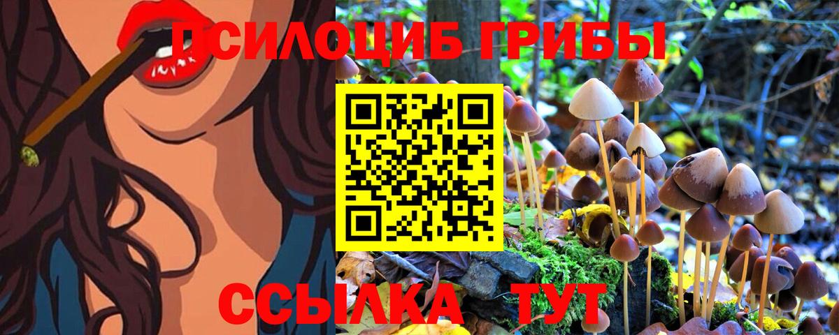 Галлюциногенные грибы Cubensis Новочеркасск